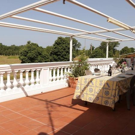 La Terrazza Sul Parco Appartamento Con Uso Piscina Torre del Lago Puccini Exterior foto